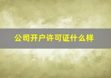 公司开户许可证什么样