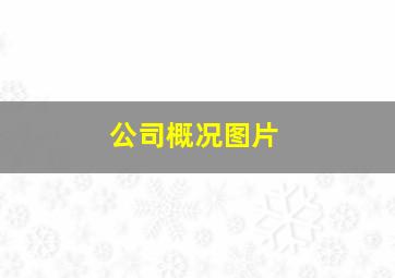 公司概况图片