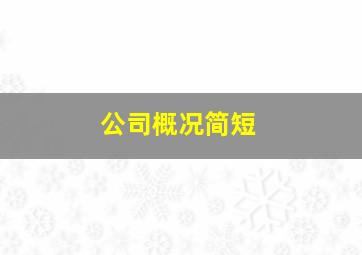 公司概况简短