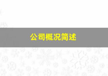 公司概况简述