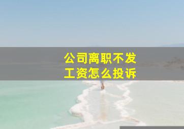 公司离职不发工资怎么投诉