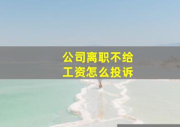 公司离职不给工资怎么投诉