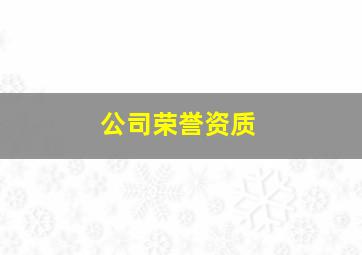 公司荣誉资质