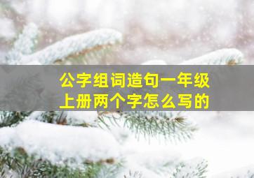 公字组词造句一年级上册两个字怎么写的