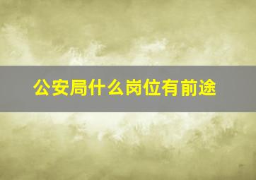 公安局什么岗位有前途