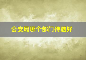 公安局哪个部门待遇好