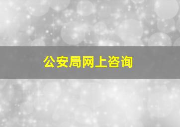 公安局网上咨询