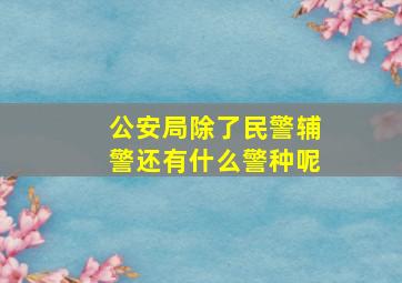 公安局除了民警辅警还有什么警种呢