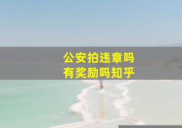 公安拍违章吗有奖励吗知乎