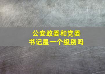 公安政委和党委书记是一个级别吗