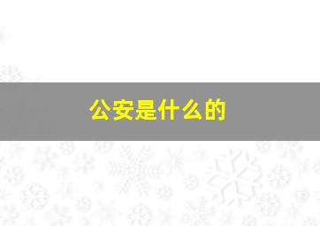 公安是什么的