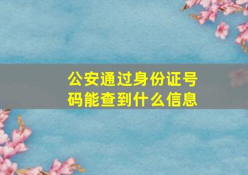 公安通过身份证号码能查到什么信息