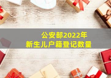 公安部2022年新生儿户籍登记数量