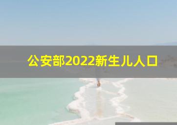 公安部2022新生儿人口