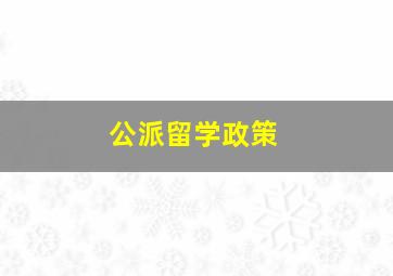 公派留学政策