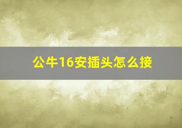 公牛16安插头怎么接