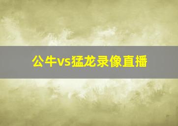 公牛vs猛龙录像直播