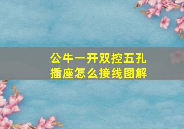 公牛一开双控五孔插座怎么接线图解