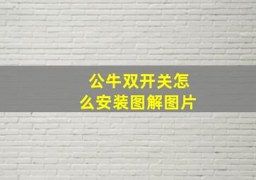 公牛双开关怎么安装图解图片