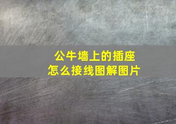 公牛墙上的插座怎么接线图解图片