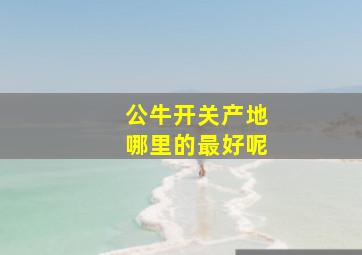 公牛开关产地哪里的最好呢