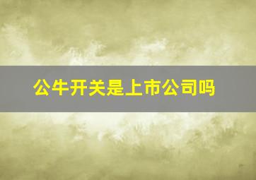 公牛开关是上市公司吗