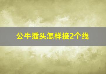 公牛插头怎样接2个线