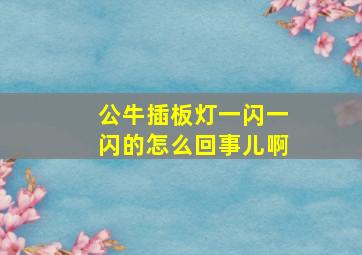 公牛插板灯一闪一闪的怎么回事儿啊