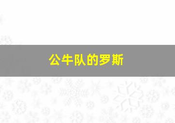 公牛队的罗斯