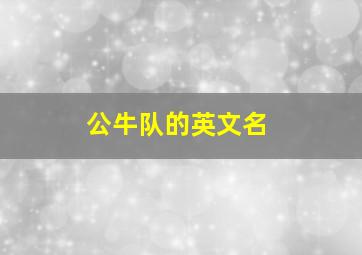 公牛队的英文名