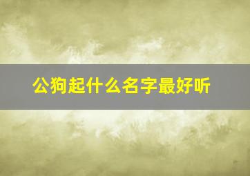 公狗起什么名字最好听