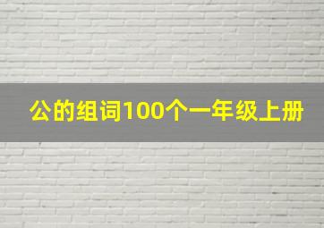 公的组词100个一年级上册