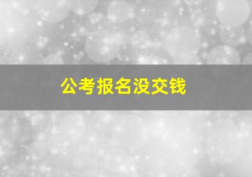 公考报名没交钱