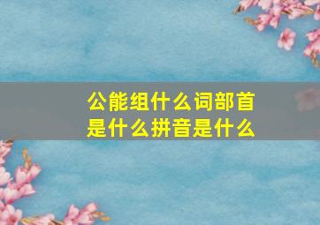 公能组什么词部首是什么拼音是什么