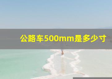 公路车500mm是多少寸