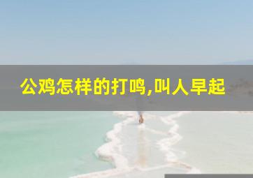 公鸡怎样的打鸣,叫人早起