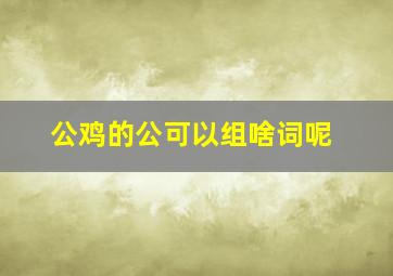 公鸡的公可以组啥词呢