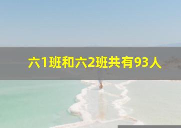 六1班和六2班共有93人