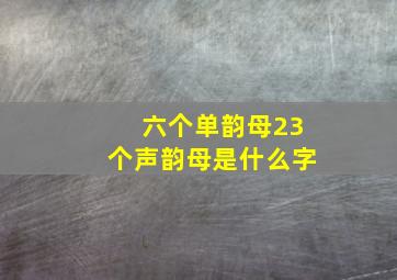 六个单韵母23个声韵母是什么字