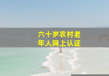 六十岁农村老年人网上认证