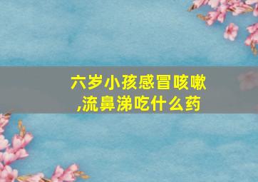 六岁小孩感冒咳嗽,流鼻涕吃什么药