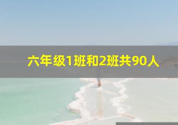 六年级1班和2班共90人