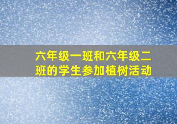 六年级一班和六年级二班的学生参加植树活动