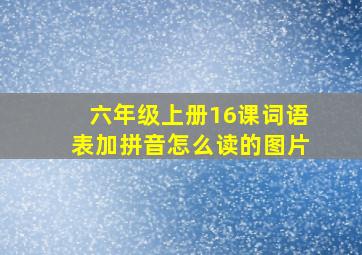 六年级上册16课词语表加拼音怎么读的图片