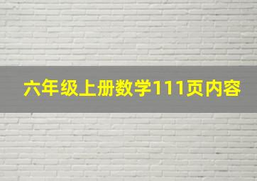 六年级上册数学111页内容