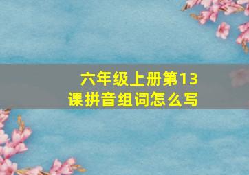 六年级上册第13课拼音组词怎么写