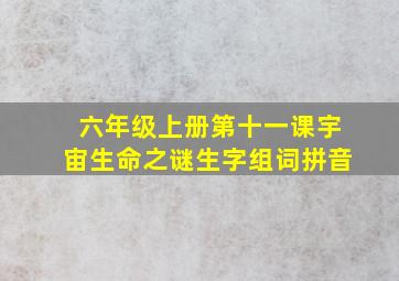 六年级上册第十一课宇宙生命之谜生字组词拼音