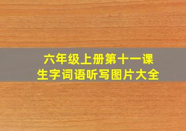 六年级上册第十一课生字词语听写图片大全