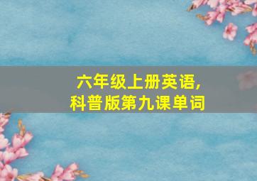 六年级上册英语,科普版第九课单词