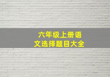 六年级上册语文选择题目大全